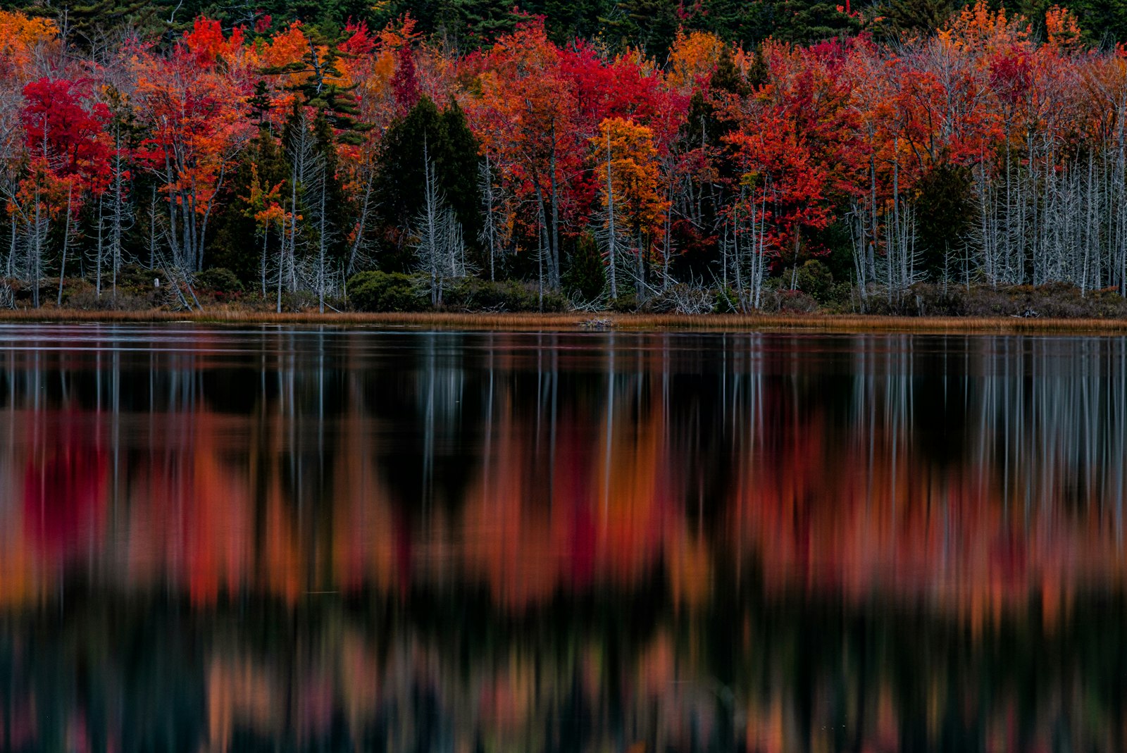Landscape near Enfield, Maine