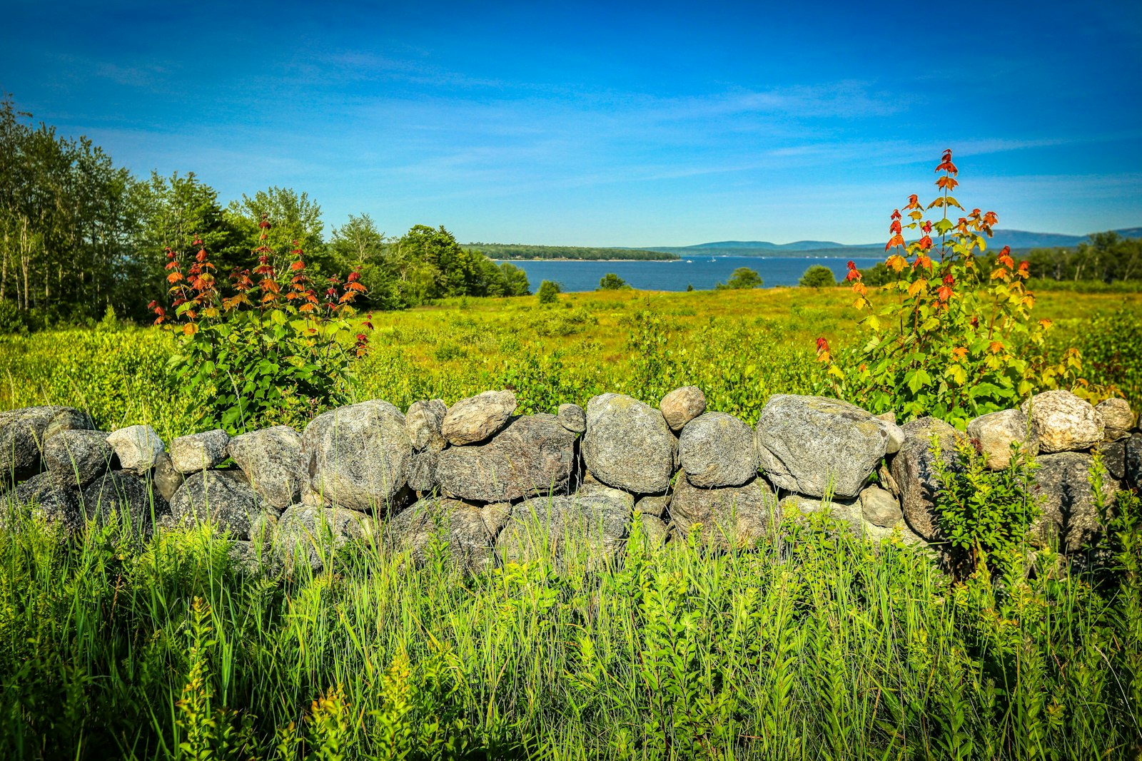 Landscape near LaGrange, Maine
